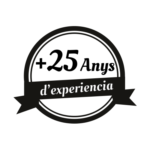 Experiencia i formacio